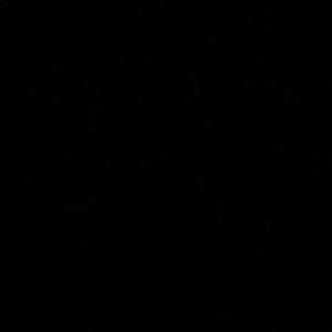 Meet your Posher, Spencer